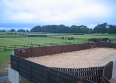 Lunging Ring