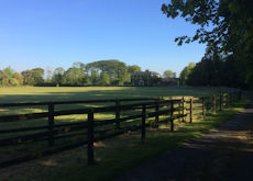 Fenced Paddocks